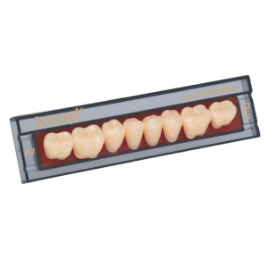 Стоматорг - Зубы Ivocryl Набор из 8 зубов A-D жеват.низ. 28 BL4.          