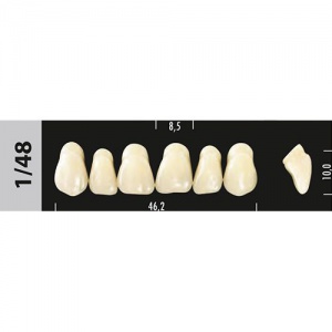 Стоматорг - Зубы Major C3  1/48 фронтальный верх, 6 шт (Super Lux)