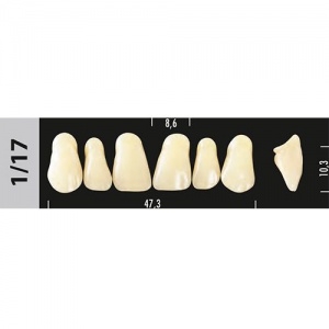 Стоматорг - Зубы Major C2 1/17, 28 шт (Super Lux)