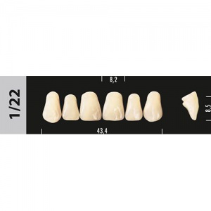 Стоматорг - Зубы Major C1 1/22, 28 шт (Super Lux)