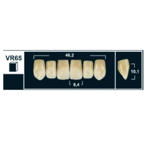 Стоматорг - Зубы Yeti A4 VR65 фронтальный верх (Tribos) 6 шт.