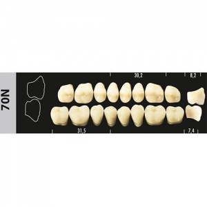 Стоматорг - Зубы Major B3 70N жевательный верх, 8 шт (Super Lux).