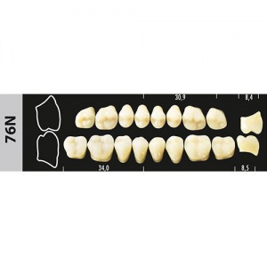 Стоматорг - Зубы Major C2 76N жевательный верх, 8 шт (Super Lux)