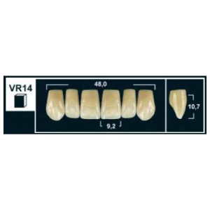 Стоматорг - Зубы Yeti A4 VR14 фронтальный верх (Tribos) 6 шт.