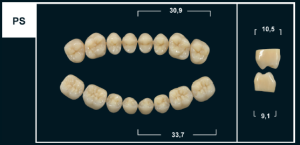 Стоматорг - Зубы Yeti B2 PS жев. низ (Tribos) 8 шт.