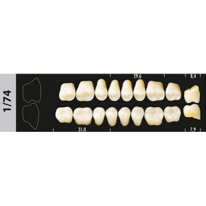 Стоматорг - Зубы Major A3 1/74 жевательный верх, 8 шт (Super Lux).