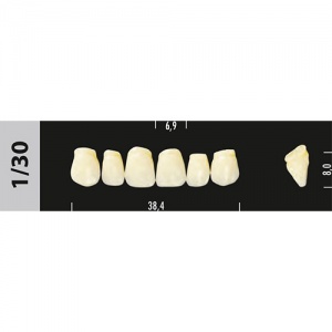 Стоматорг - Зубы Major C2 1/30, 28 шт (Super Lux)