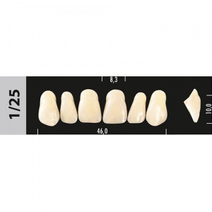 Стоматорг - Зубы Major D3  1/25 фронтальный верх, 6 шт (Super Lux)