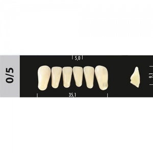 Стоматорг - Зубы Major C4 0/5 фронтальный низ, 6 шт (Super Lux)