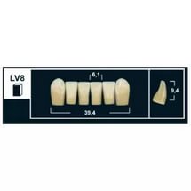 Стоматорг - Зубы Yeti C3 LV8 фронтальный низ (Tribos) 6 шт. 