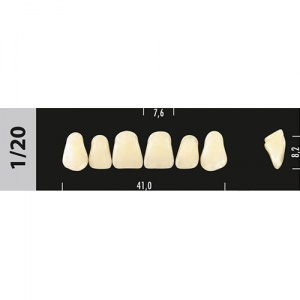 Стоматорг - Зубы Major C1 1/20, 28 шт (Super Lux)
