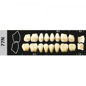 Стоматорг - Зубы Major C2 77N жевательный низ, 8 шт (Super Lux)
