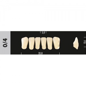Стоматорг - Зубы Major C3 0/4 фронтальный низ, 6 шт (Super Lux)