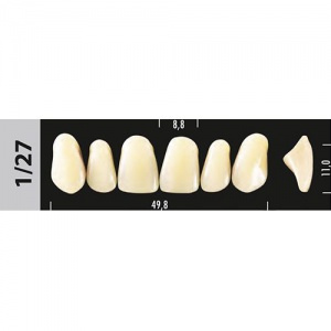Стоматорг - Зубы Major A4  1/27 фронтальный верх, 6 шт (Super Lux).