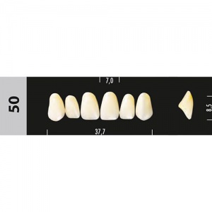 Стоматорг - Зубы Major A3,5 50, 28 шт (Super Lux).