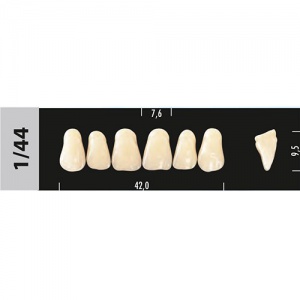 Стоматорг - Зубы Major C3  1/44 фронтальный верх, 6 шт (Super Lux)