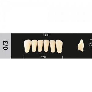 Стоматорг - Зубы Major A3,5 0/3 фронтальный низ, 6 шт (Super Lux).
