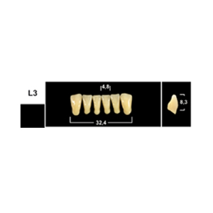 Стоматорг - Зубы Yeti C2 LV3 фронтальный низ (Tribos) 6 шт.