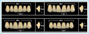 Стоматорг - Зубы Yeti B2 LV6 фронтальныйальныйниз (Tribos) 6 шт.