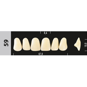 Стоматорг - Зубы Major C4 59, 28 шт (Super Lux)