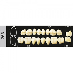 Стоматорг - Зубы Major B3 76N жевательный верх, 8 шт (Super Lux).