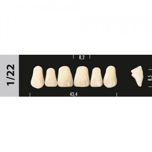 Стоматорг - Зубы Major C4  1/22 фронтальный верх, 6 шт (Super Lux)