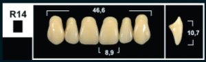 Стоматорг - Зубы Yeti B3 R14 фронтальный верх (Tribos) 6 шт.