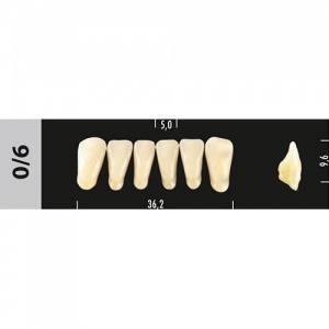 Стоматорг - Зубы Major A4 0/6 фронтальный низ, 6 шт (Super Lux).