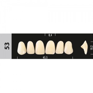Стоматорг - Зубы Major B3 53, 28 шт (Super Lux).