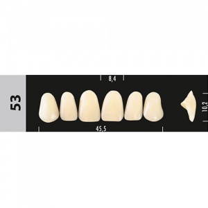 Стоматорг - Зубы Major C3 53,  28 шт (Super Lux)