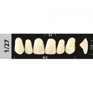 Стоматорг - Зубы Major C2  1/27 фронтальный верх, 6 шт (Super Lux)