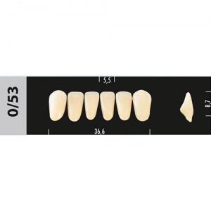 Стоматорг - Зубы Major B4 0/53 фронтальный низ, 6 шт (Super Lux).