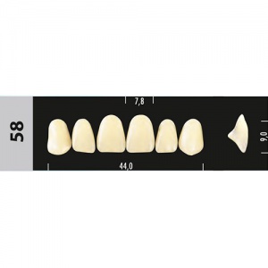 Стоматорг - Зубы Major C2 58, 28 шт (Super Lux)