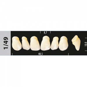 Стоматорг - Зубы Major D3  1/49 фронтальный верх, 6 шт (Super Lux)