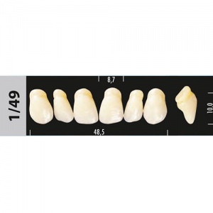 Стоматорг - Зубы Major C3  1/49 фронтальный верх, 6 шт (Super Lux)