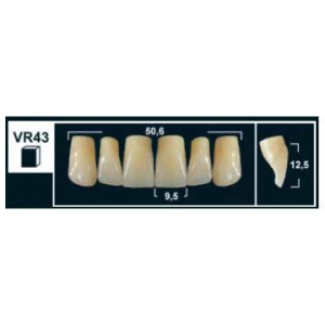 Стоматорг - Зубы Yeti C3 VR43 фронтальный верх (Tribos) 6 шт. 