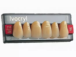 Стоматорг - Зубы Ivocryl Набор из 6 зубов Chromascop фронт.верх. 33 220.              