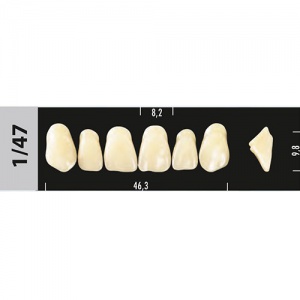 Стоматорг - Зубы Major C4 1/47, 28 шт (Super Lux)