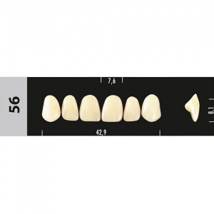 Стоматорг - Зубы Major D3  56 фронтальный верх, 6 шт (Super Lux)