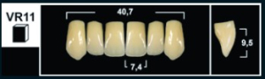 Стоматорг - Зубы Yeti A3 VR11 фронтальный верх (Tribos) 6 шт.