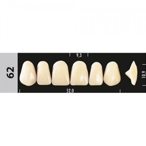 Стоматорг - Зубы Major D3  62 фронтальный верх, 6 шт (Super Lux)