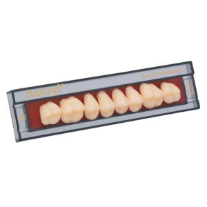 Стоматорг - Зубы Ivocryl Набор из 8 зубов A-D жеват.верх. 29 D4.           
