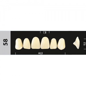 Стоматорг - Зубы Major D2 58,  28 шт (Super Lux)