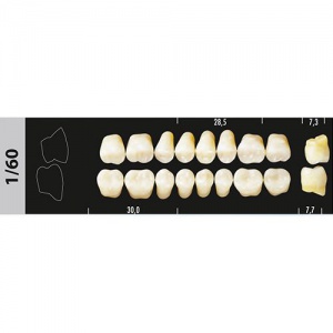 Стоматорг - Зубы Major C3 1/60 жевательный верх, 8 шт (Super Lux)