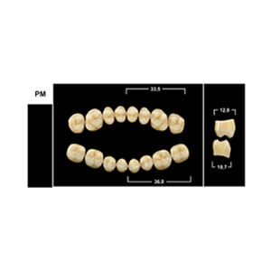 Стоматорг - Зубы Yeti A1 PM жевательный верх (Tribos) 8 шт.