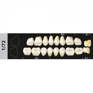 Стоматорг - Зубы Major D3 1/72 жевательный верх, 8 шт (Super Lux)