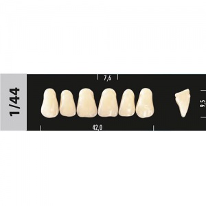 Стоматорг - Зубы Major C2  1/44 фронтальный верх, 6 шт (Super Lux)