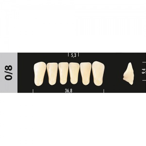Стоматорг - Зубы Major C3 0/8 фронтальный низ, 6 шт (Super Lux)