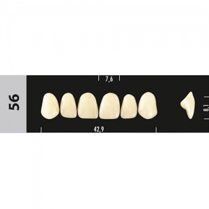 Стоматорг - Зубы Major A4 56, 28 шт (Super Lux).
