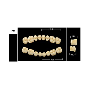 Стоматорг - Зубы Yeti B4 PM жевательный низ (Tribos) 8 шт. 
